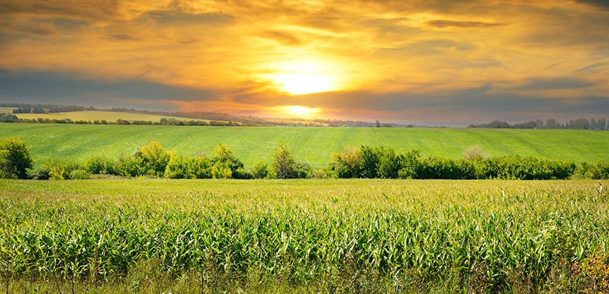 Photo of a sunset over vast fields